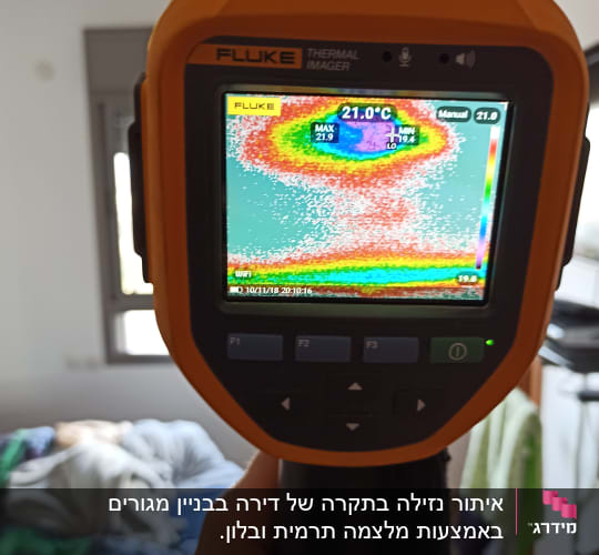 מד חום תרמי מציג נתוני טמפרטורה על מסך